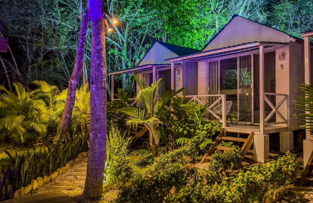 Zensus Eco Boutique Hotel-1